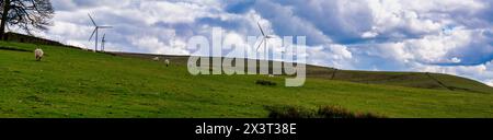 Immagine panoramica della campagna di Greater Manchester con campi verdi, stock vivi e turbine eoliche. Foto Stock