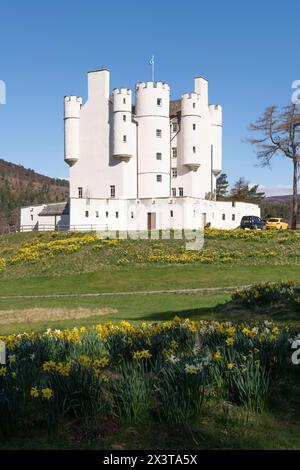 Castello di Braemar nelle Highlands scozzesi circondato da Daffodils (Narcissus) in una mattinata di sole in primavera Foto Stock