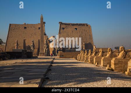 Viale delle Sfingi, primo pilone di Ramses II, Tempio di Luxor, sito patrimonio dell'umanità dell'UNESCO, Luxor, Egitto Foto Stock