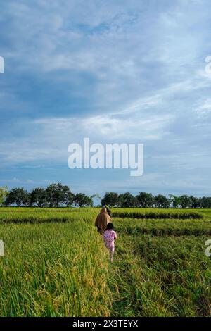 La famiglia dell'agricoltore cammina sul terrapieno di un campo di riso contro un cielo luminoso con spazio vuoto per fotocopie. Foto Stock