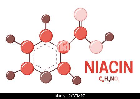 Illustrazione della struttura delle molecole con niacina o vitamina B3 Illustrazione Vettoriale