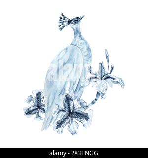 Uccelli selvatici e fiori di Iris blu. Illustrazione ad acquerello disegnata a mano isolata su sfondo bianco. Composizione monocromatica indaco con peahen Foto Stock