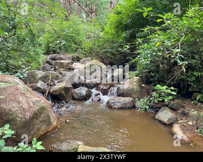 La fonte naturale dell'acqua è l'acqua piovana. Le acque di sorgente naturali provengono da fonti sotterranee protette, prive di inquinamento e sicure. Foto Stock