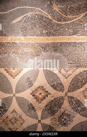 mosaico con decoracion geometrica y vegetal, Opus tessellatum, siglos III - IV d.C, calle Cabezo , Calahorra, Museo de la Romanización, Calahorra, la Foto Stock