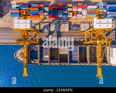 Vista aerea di navi da carico e container nel porto, scarico e carico con gru speciale. Foto Stock