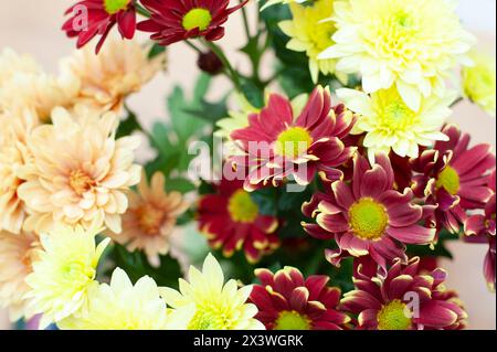 Mazzo di fiori, viola, giallo, arancio. Crisantemi Foto Stock