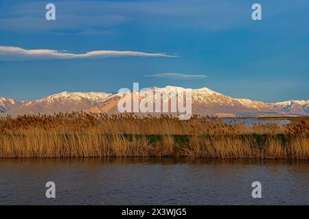 Il sole del tardo pomeriggio splende su Willard Mountain, come si vede dall'angolo sud-est dell'Auto Tour Route of Bear River Migratory Bird Refuge, Utah, USA. Foto Stock