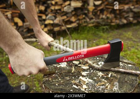 Piccola mano ascia per tagliare il legno, strumento mano, agricoltura, Guipuzcoa, Paesi Baschi Foto Stock