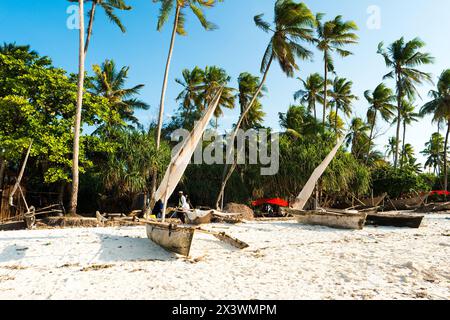 Semplici barche di legno di gente africana locale seduto a riva vicino alte palme Foto Stock