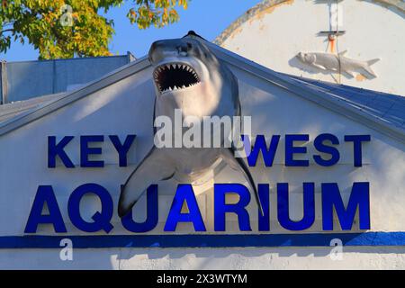Stati Uniti, Florida. Key West. Acquario Foto Stock