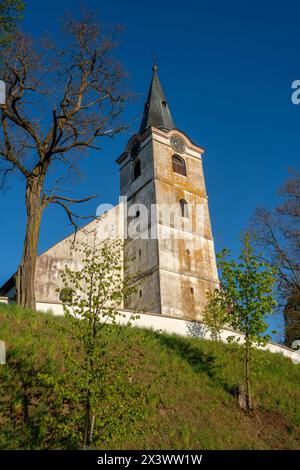 Chiesa di San Pietro e Paolo a Lodhéřov (Riegerschlag), Cechia, in piedi su una collina. Vista dal basso verso la torre della chiesa. Foto Stock