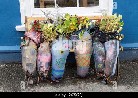 Pantaloni usati come borse per flwoers, Llandovery, Wales, UK Foto Stock