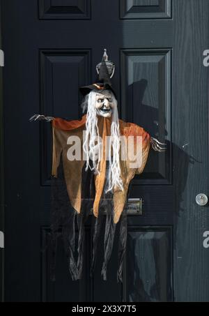 Strega di Halloween sulla porta, Wicklow, Irlanda Foto Stock