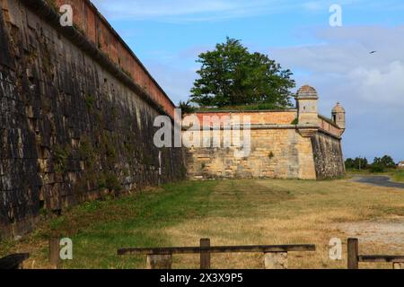 Francia, Nouvelle Aquitaine, dipartimento marittimo della Charente (17), zona di Marennes, Brouage Foto Stock