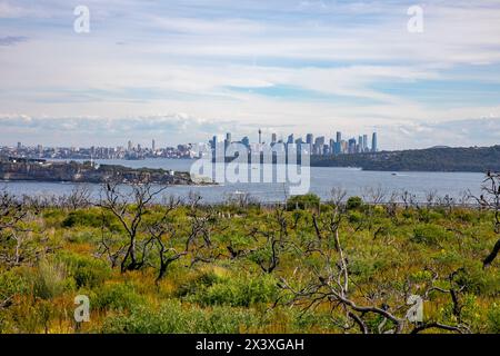 Paesaggio di North Head Manly con vista sul porto di Sydney fino a South Head e sulla città del CBD di Sydney, Sydney, NSW, Australia Foto Stock