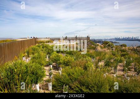 North Head Manly, la gente gode della vista del porto di Sydney e dello skyline del centro di Sydney dal punto di osservazione di Burragula sul Fairfax Track Foto Stock