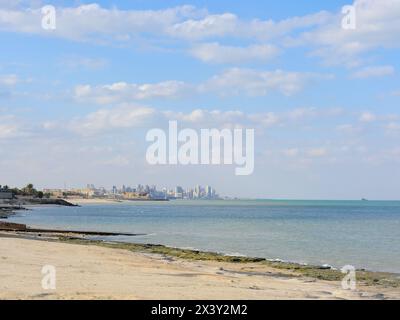 Palme, sabbia in una giornata di sole nella città del Kuwait. Edifici alti possono essere visti sullo sfondo Foto Stock