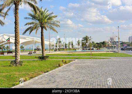 Palme, sabbia in una giornata di sole nella città del Kuwait. Edifici alti possono essere visti sullo sfondo Foto Stock