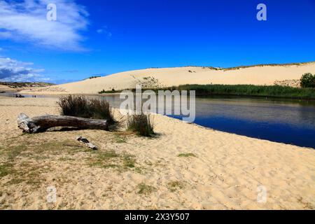 Francia, Nouvelle Aquitaine, dipartimento delle Landes (40), Moliets et Maa, Moliets plage, le Courant d'Huchet (fiume) Foto Stock