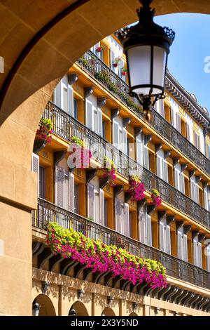 Balconi fioriti in Plaza de la Constitución, parte Vieja, Donostia, San Sebastián, Gipuzkoa, paesi baschi, Spagna, Europa, nel dipartimento Foto Stock