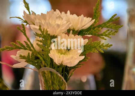 Fiori autunnali di crisantemo bianco e giallo alla luce del sole sul davanzale della finestra. Tessera stagionale autunnale. Foto Stock