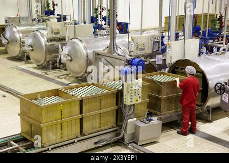 Sterilizzazione in autoclave in contenitori ermeticamente sigillati con il metodo Appert, Appertization, linea di produzione di verdure e fagioli in scatola, inscatolamento Foto Stock