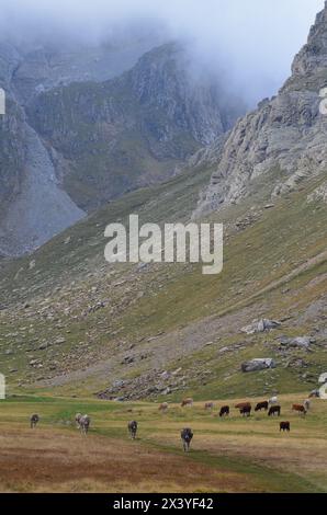 Parco naturale delle Valli occidentali nei Pirenei di Huesca, Spagna Foto Stock