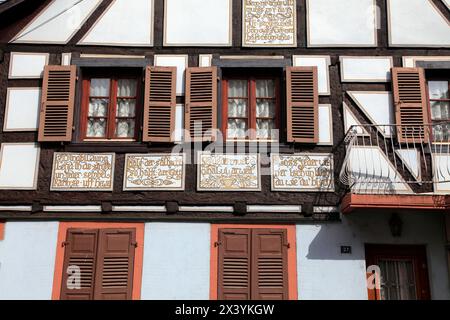 Francia, Grand-Est, Bas Rhin (67) Alsazia, Val de Moder, Pfaffenhoffen Foto Stock