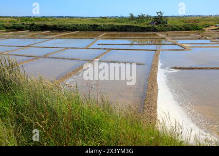 Francia, Pays de la Loire, Loire Atlantique (44), Guerande, sault march Foto Stock