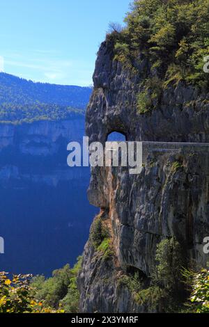 Francia, Alvernia Rodano Alpi, dipartimento di Drome (26), Saint Jean en royans, combe laval Foto Stock