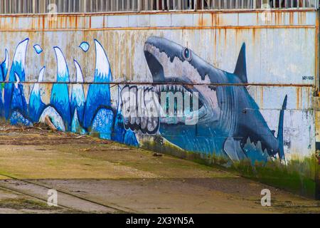 Francia, mananche (50) Cherbourg-en-Cotentin, Foto Stock