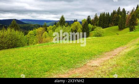 percorso attraverso il prato erboso. colline ondulate e boscose. paesaggio della campagna dei carpazi in una giornata nuvolosa in primavera Foto Stock