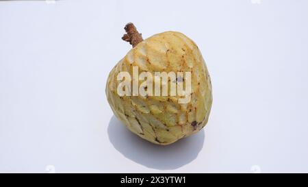 Ramphal noto anche come Wild Sweetsop, annona reticulata, RAM mela falwild crema pasticcera su sfondo bianco Foto Stock