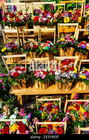 Il concetto di negozio di fiori. Fiori primaverili freschi di diverse varietà in cesti di legno . Bouquet sullo scaffale, affari floreali. Foto Stock