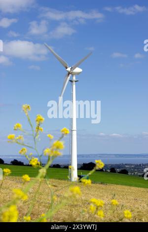 Turbina eolica sul versante collinare dell'orzo, cielo azzurro Bassaleg, Newport, Galles, Regno Unito Foto Stock