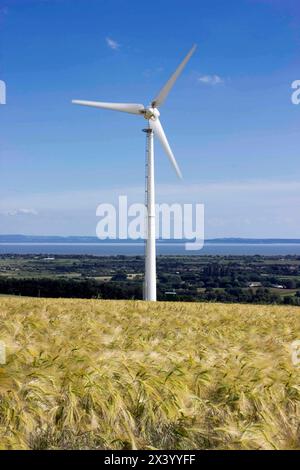 Turbina eolica sul versante collinare dell'orzo, cielo azzurro Bassaleg, Newport, Galles, Regno Unito Foto Stock