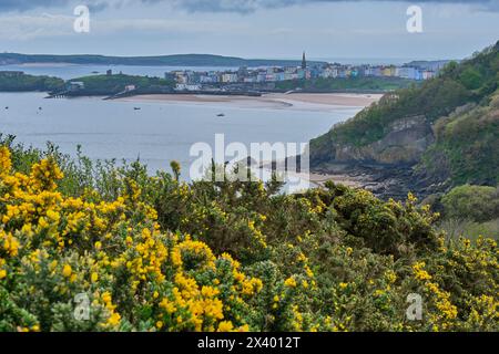 Tenby, visto dal Pembrokeshire Coast Path vicino a Rowston Farm, Pembrokeshire, Galles Foto Stock