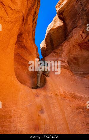 Uomo che arrampica in Peek-a-boo Gulch. Big Hollow Wash, Grand Staircase-Escalante, Utah, Stati Uniti Foto Stock