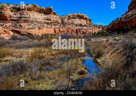 Laghetti di castoro. Sentiero delle cascate di Lower Calf Creek. Grand Staircase-Escalante, Utah, Stati Uniti Foto Stock