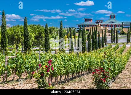 Spagna, Rioja, villaggio medievale di Briones (il villaggio più bello della Spagna), museo della cultura del vino, Bodega Vivanco, (via San Giacomo) Foto Stock