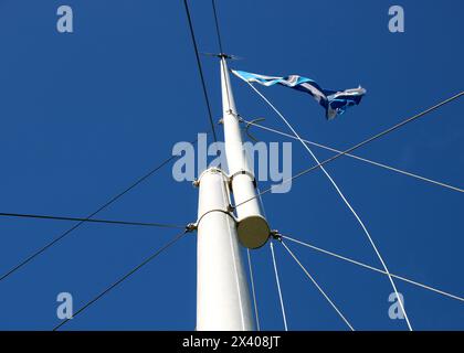 Bandiera scozzese saltire che sventola su un'asta di metallo alta sul campo di battaglia di Bannockburn in Scozia Foto Stock