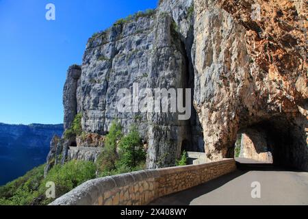 Francia, Alvernia Rodano Alpi, dipartimento di Drome (26), Saint Jean en royans, combe laval Foto Stock