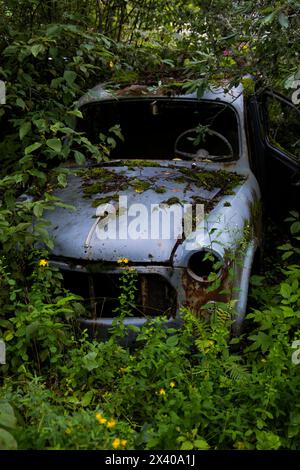 Europa, Scandinavia, Svezia. cimitero delle auto Foto Stock
