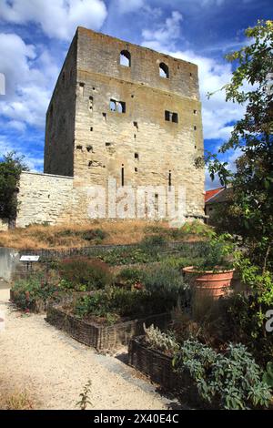 Francia, Parigi Ile de France, Yvelines (78), Conflans Sainte-Honorine, Montjoie Tower Foto Stock