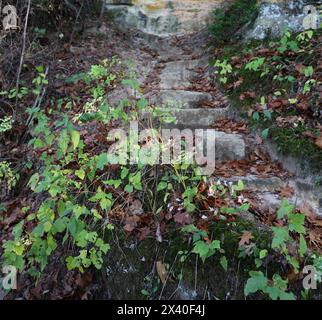 Gradini di granito ricoperti di muschio, foglie cadute e piante giovani sul sentiero devil's Staircase a Janesville, Wisconsin, USA Foto Stock