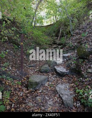 Un sentiero sterrato disseminato di rocce granitiche, ricoperte di muschio e foglie cadute, in una foresta, sul sentiero della Scala del Diavolo a Janesville, Wisconsin, Stati Uniti Foto Stock