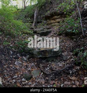 Un sentiero sterrato disseminato di rocce granitiche, ricoperte di muschio e foglie cadute, in una foresta, sul sentiero della Scala del Diavolo a Janesville, Wisconsin, Stati Uniti Foto Stock