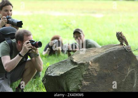 Paasmühle, Die Pflegestation für Eulen, Greifvögel und Wasservögel. 27.08.2016, EU, DEU, Deutschland, Nordrhein-Westfalen, Witten: Wildhierfestival von der Wildvogelstation Paasmuehle an der Kemnade. EU, DEU, Germania, Renania settentrionale-Vestfalia, Witten: Festival dei cervi selvatici presso la stazione degli uccelli selvatici di Paasmuehle sulla Kemnade. Foto Stock