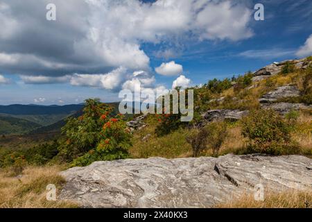 Vista dall'Art Loeb Trail vicino alla Blue Ridge Parkway sui monti Appalachi, North Carolina, Stati Uniti; North Carolina, Stati Uniti d'America Foto Stock