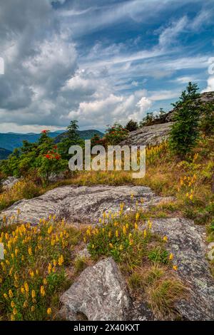 Vista dall'Art Loeb Trail vicino alla Blue Ridge Parkway sui monti Appalachi, North Carolina, Stati Uniti; North Carolina, Stati Uniti d'America Foto Stock